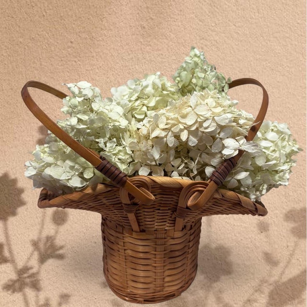 gorgeous batch of 10 real hydrangeas preserved